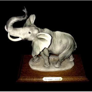Giuseppe Armani-Elephant