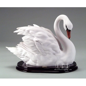 Giuseppe Armani-Swan - Semi-Closed Wings