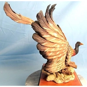 Giuseppe Armani-Great Argus Pheasant
