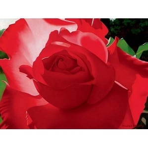 Brian Davis-Brilliant Red Solo Rose