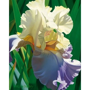 Brian Davis-Kauais Tropical Beauty