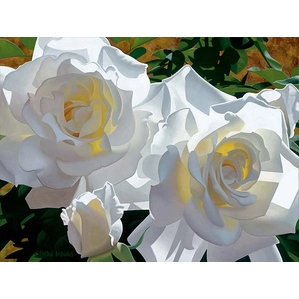 Brian Davis-White Roses Aglow
