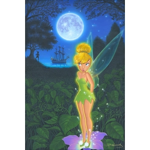 Manuel Hernandez-Pixie in Neverland - From Disney Peter Pan