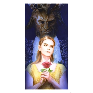 Alex Ross Disney