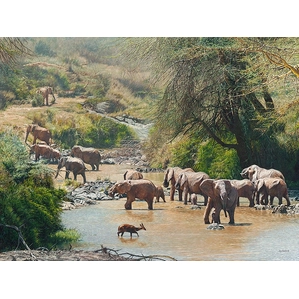 Guy Combes-Ancestral Oasis