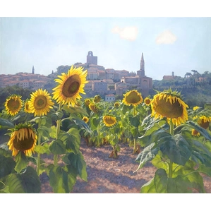 June Carey-Sunflowers of Castiglion Fiorentino