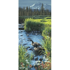 Rod Frederick-Summer Place
