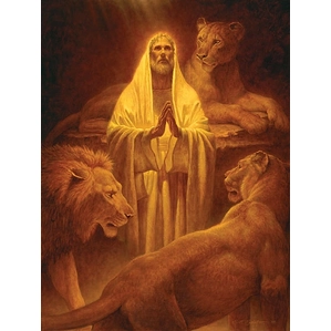 Scott Gustafson-Daniel In The Lion´s Den
