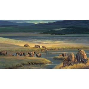 Nancy Glazier-Buffalo Valley By Nancy Glazier