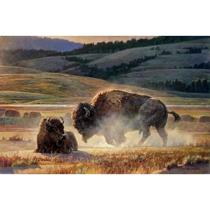 Nancy Glazier-Eye Of The Storm By Nancy Glazier