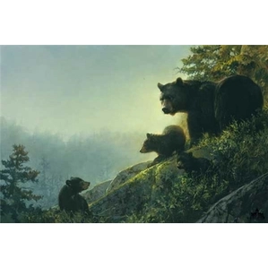Nancy Glazier-Misty Morn By Nancy Glazier