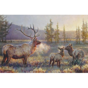 Nancy Glazier-Morning By Nancy Glazier