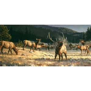 Nancy Glazier-Rocky Mountain Meadow By Nancy Glazier