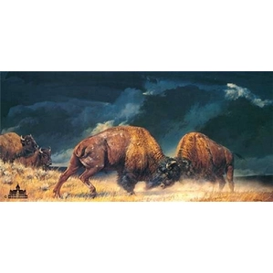 Nancy Glazier-Rolling Thunder By Nancy Glazier