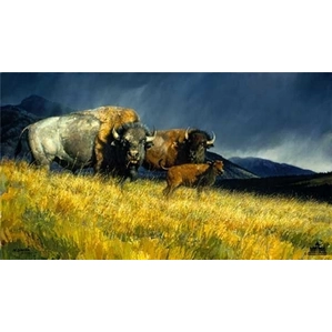 Nancy Glazier-Stormy By Nancy Glazier